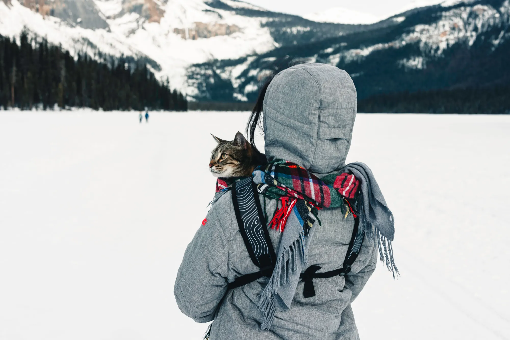 A person carrying a cat in a backpack carrier across a frozen alpine lake, snowy mountains behind